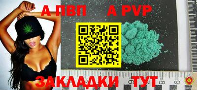 крисы Малгобек