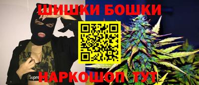 крисы Малгобек