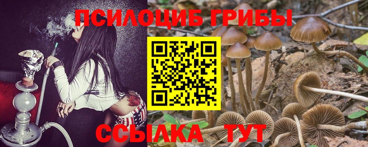 Свободный  Псилоцибиновые грибы мухоморы  Вход с VPN 